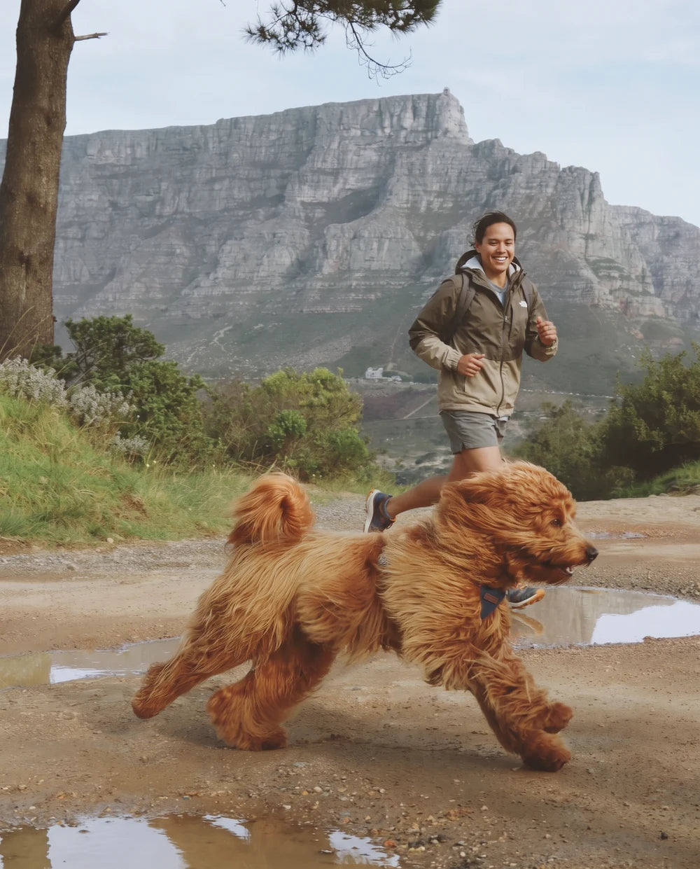 A pet parent spending time with her dog